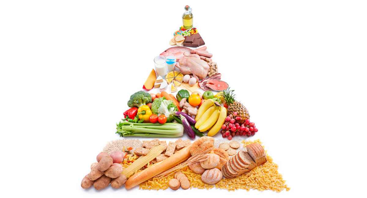 Alimentación, nutrición y salud. Dietética y dietoterapia