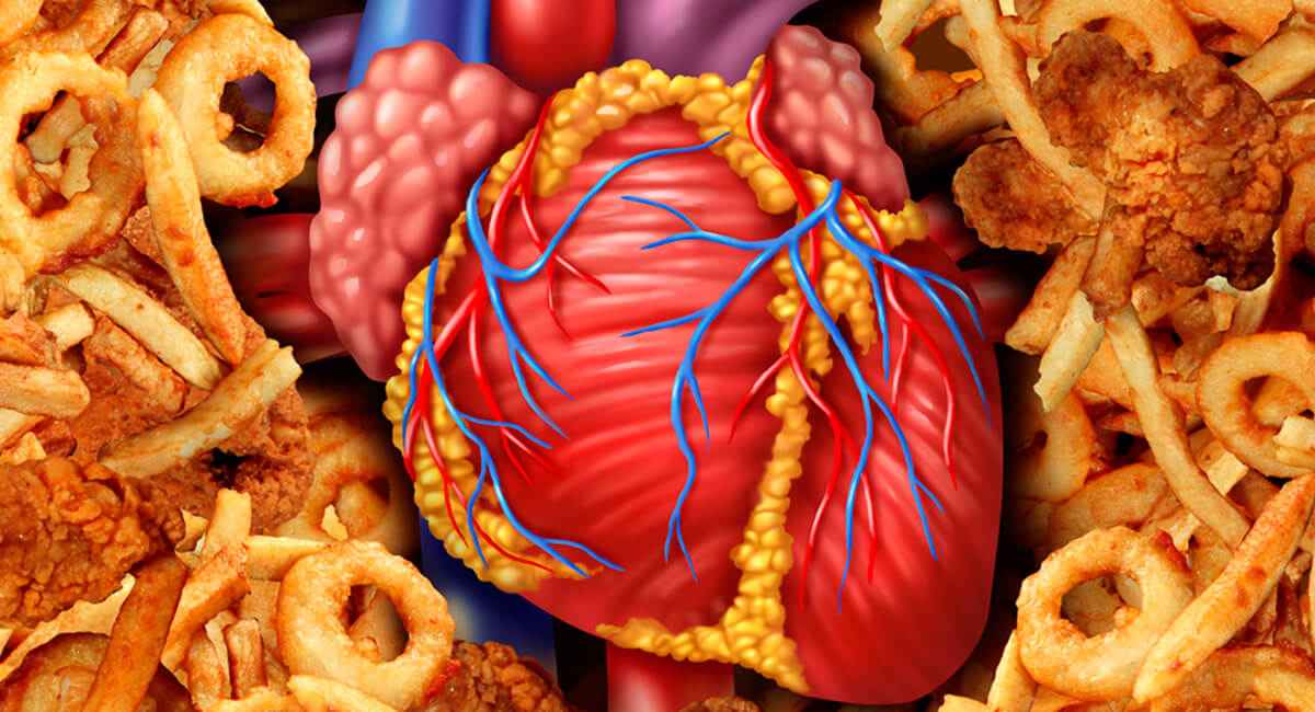 Nutrición en las enfermedades cardiovasculares  
